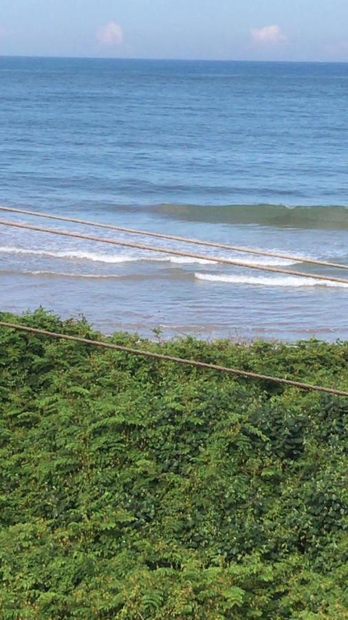 Pousada Sombra Das Ondas Palmeira  外观 照片